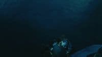 a couple of people standing in the dark under water
