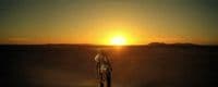 a person standing in the middle of a desert at sunset