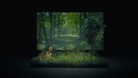 a woman sitting in the middle of a forest