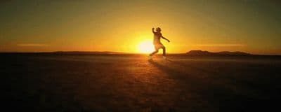 a person standing in the middle of a field at sunset