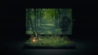 a person sitting in the middle of a forest
