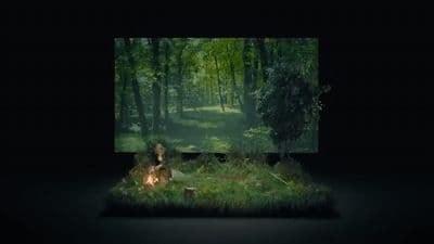 a person sitting in the middle of a forest
