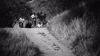 a couple of people riding bikes down a dirt road