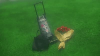 a banana peel and a flower on the grass