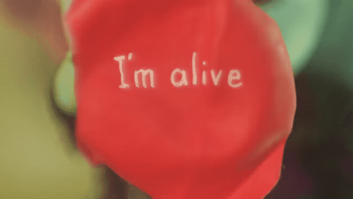 a red flower with the words i'm alive written on it