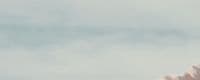 a bird flying in the sky with a blurry background