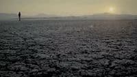 a lone person standing in the middle of a barren field
