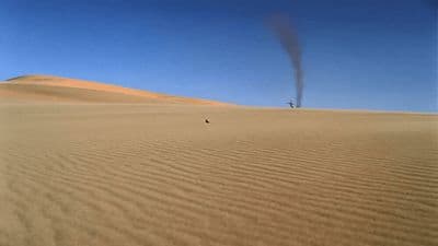 a person standing in the middle of a desert