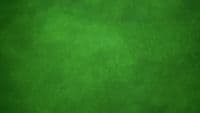 a green background with a black border