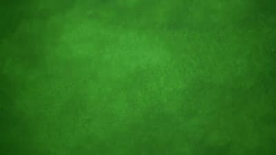 a green background with a black border