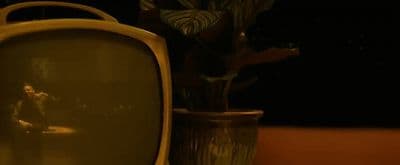 a television sitting on top of a table next to a potted plant