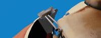 a close up of a horse's head with a sky background
