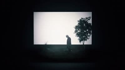 a man standing in front of a tree in the dark