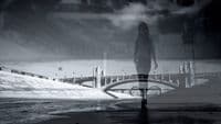 a woman walking across a bridge over a river