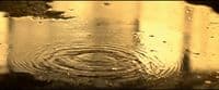 a picture of a rain drop in a puddle