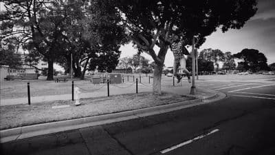 a black and white photo of a tree lined street