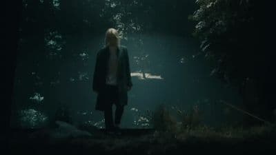 a person standing in a dark forest at night