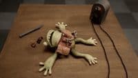 a toy frog laying on top of a wooden table