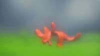 a blurry photo of two orange animals in a field