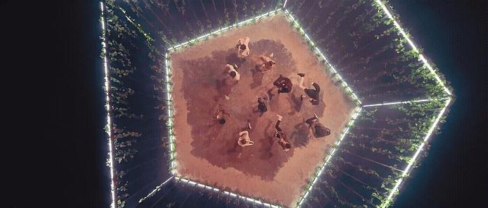 an aerial view of a group of elephants in a field