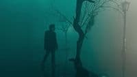 a man standing next to a tree on a foggy day