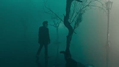 a man standing next to a tree on a foggy day