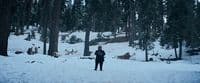 a person standing in the snow in front of some trees