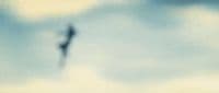 a blurry image of a bird flying in the sky