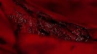 a close up of a piece of red material