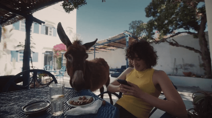 a woman sitting at a table next to a donkey