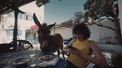 a woman sitting at a table next to a donkey