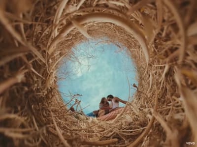 a man and a woman are sitting in a nest of hay
