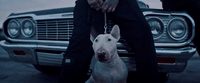 a man sitting on the hood of a car next to a dog