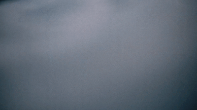 a black and white photo of a bird flying in the sky