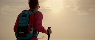 a person with a backpack and a stick