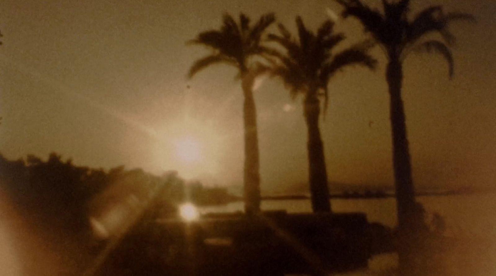 a blurry photo of palm trees and the sun