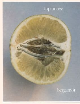 a lemon cut in half with the words top notes below it