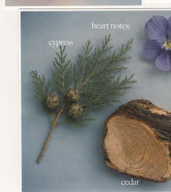 a picture of a flower and a piece of wood