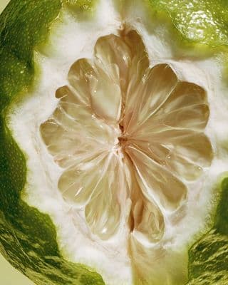 a close up of a green fruit with a white center