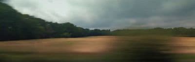 a blurry picture of a field with trees in the background