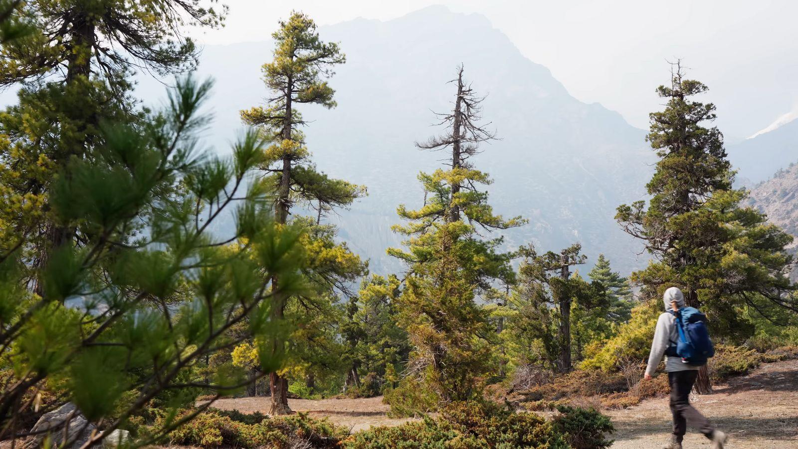 a person with a backpack walking up a trail