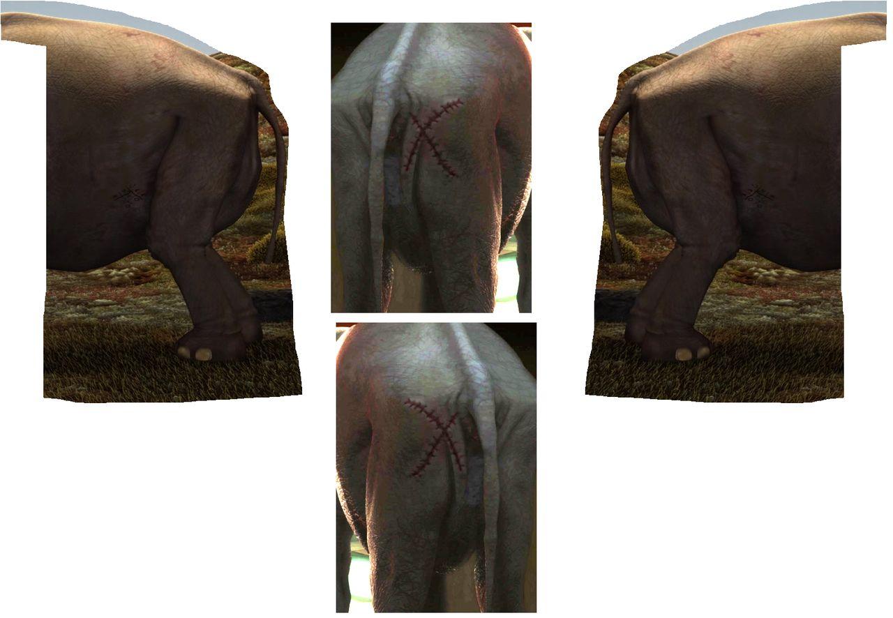 Four-panel 3D game texture reference of a gray elephant’s hindquarters, legs, and stitched scars against a grassy outdoor background.