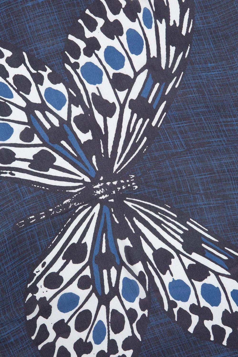 a close up of a butterfly on a blue background