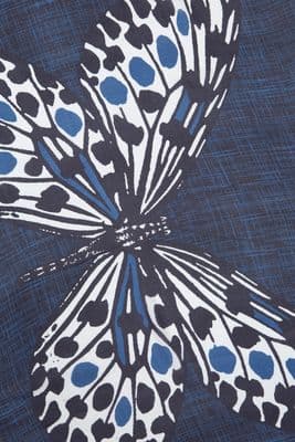 a close up of a butterfly on a blue background