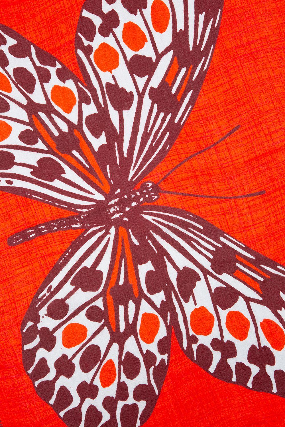 a close up of a butterfly on a red background