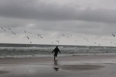 a person walking on a beach near the ocean