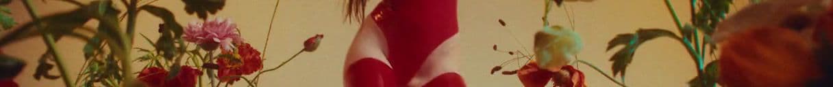 a blurry photo of a vase with flowers in it