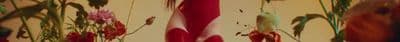a blurry photo of a vase with flowers in it