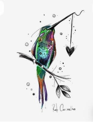 a colorful bird sitting on top of a tree branch