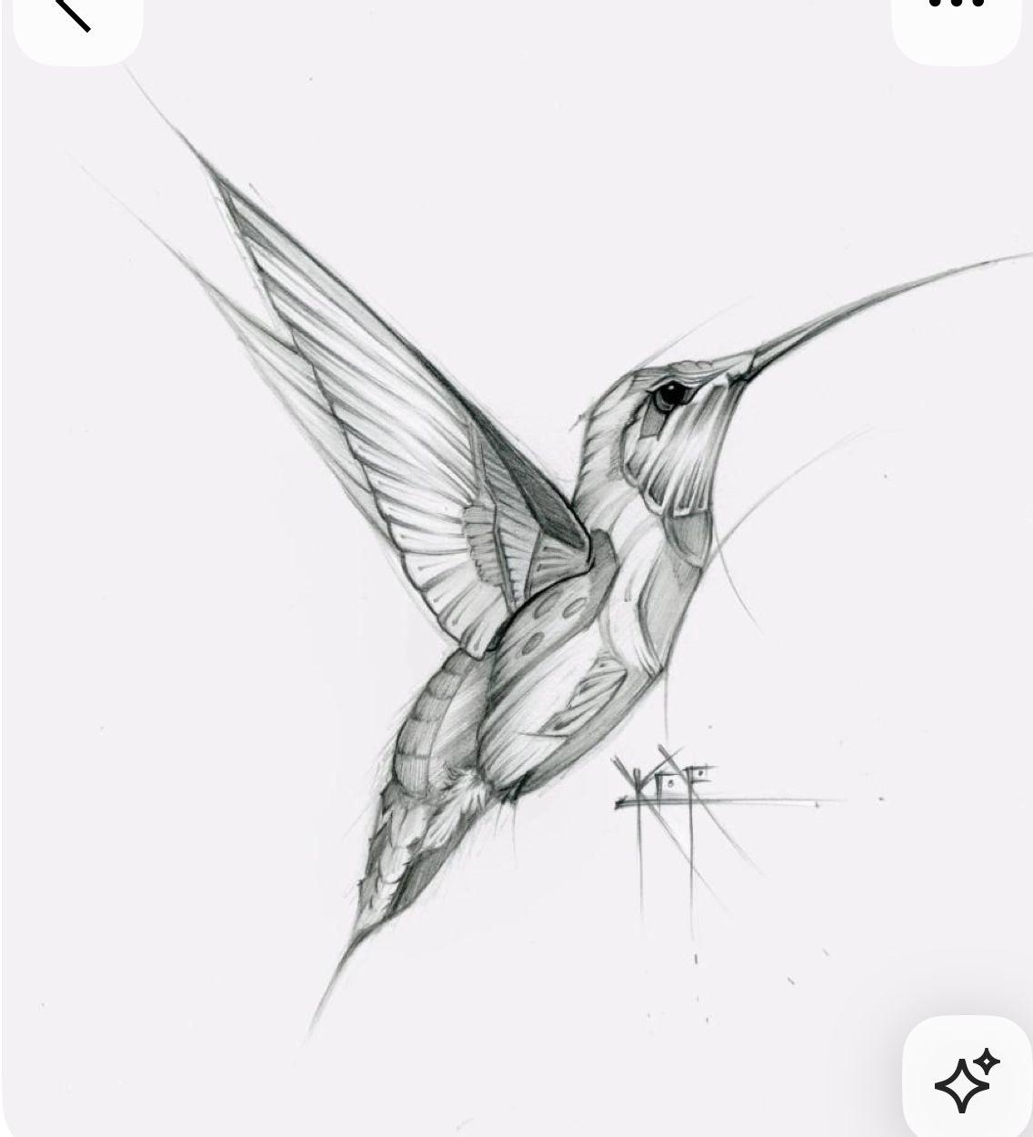 a drawing of a hummingbird in flight